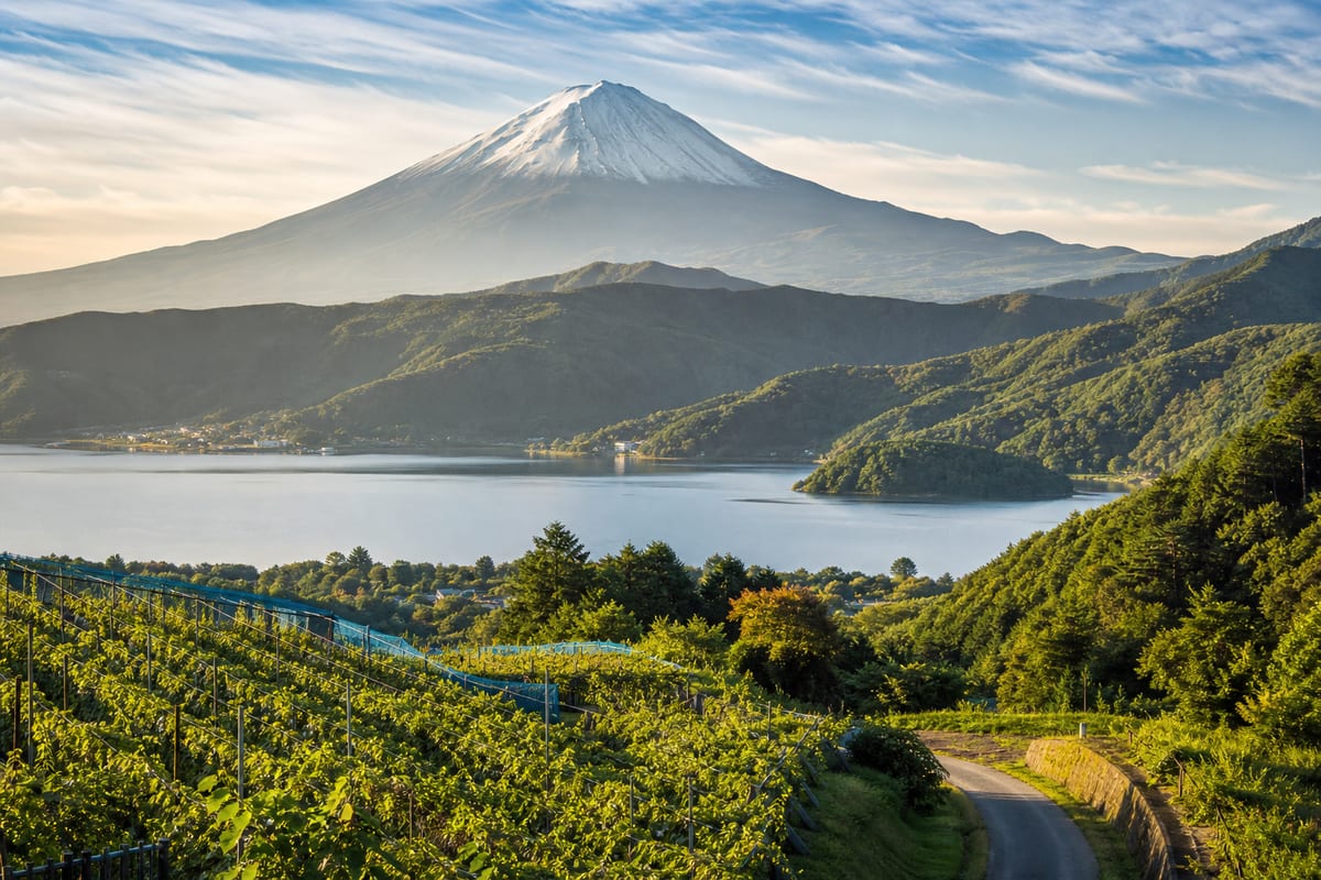 山梨 週末 アウトドア 旅行